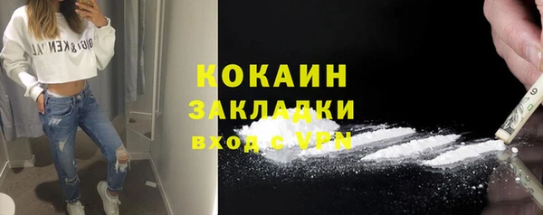 индика Балабаново