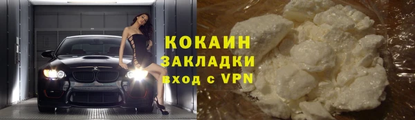 индика Балабаново