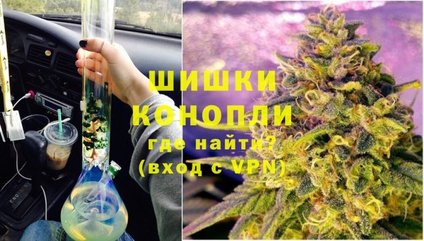 индика Балабаново