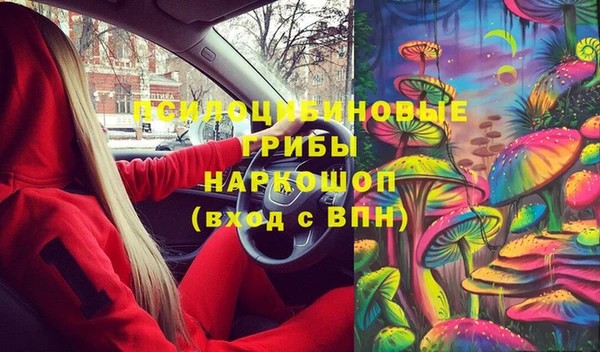 мяу мяу мука Баксан