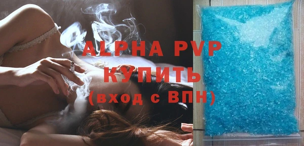 индика Балабаново
