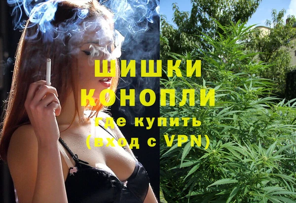 индика Балабаново