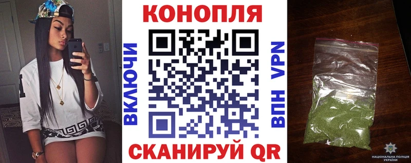 Бошки Шишки планчик  закладки  Ветлуга 